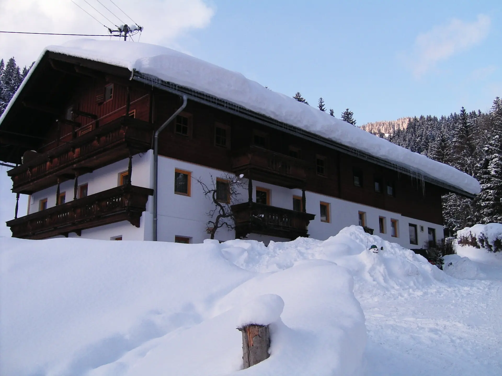 Foto: Wolfgang Zettler | © Wolfgang Zettler