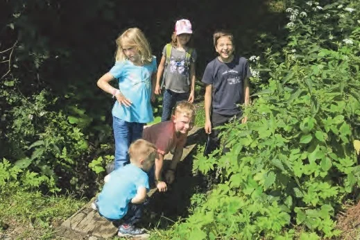 Hausrunde Lauterbach: Waldpfad nach dem Wasserfall. | © Simone Zeiler
