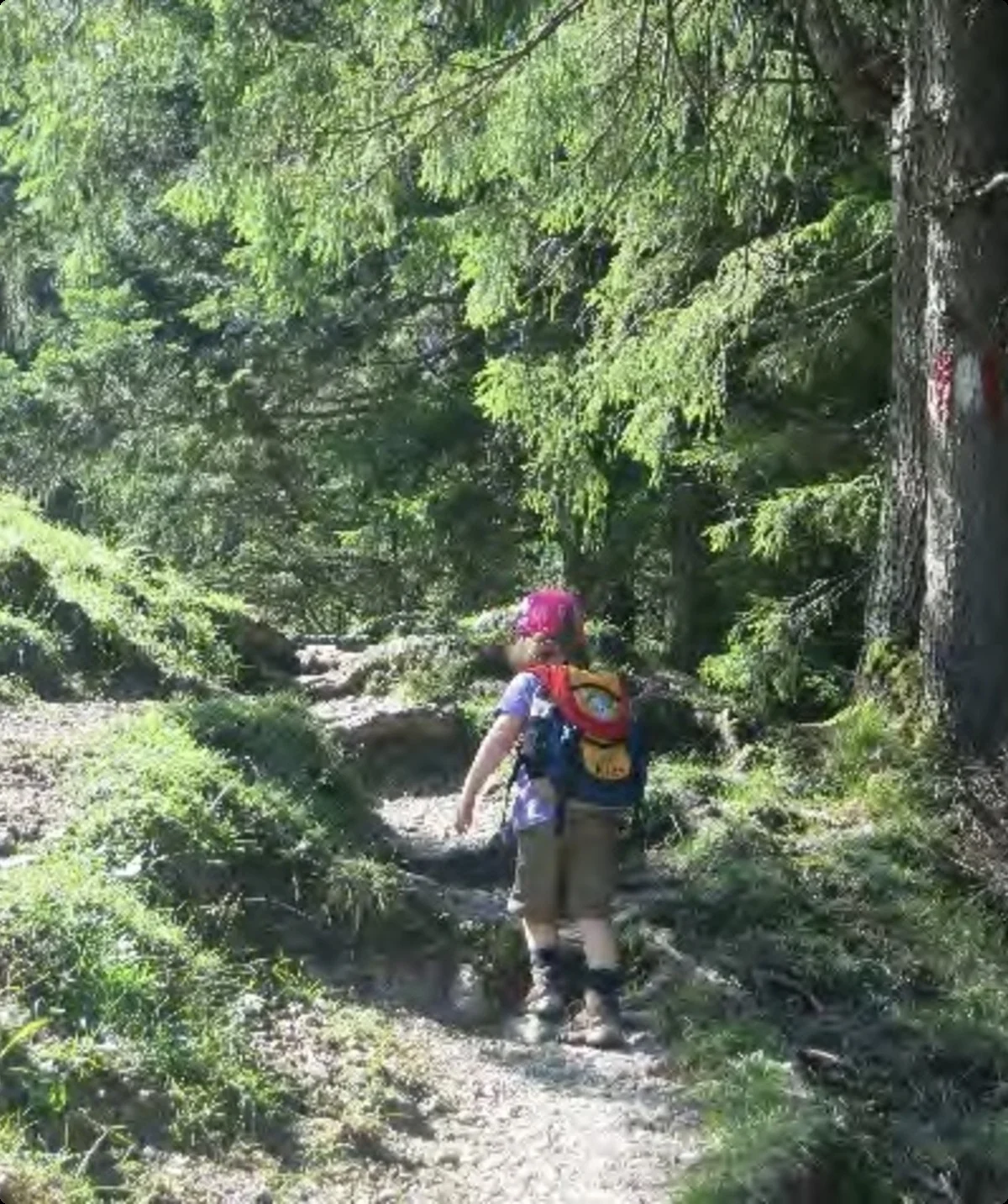 Aufstieg über einen steilen Waldpfad. | © Simone Zeiler