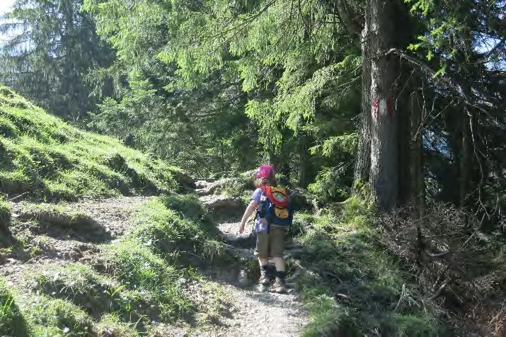 Aufstieg über einen steilen Waldpfad. | © Simone Zeiler
