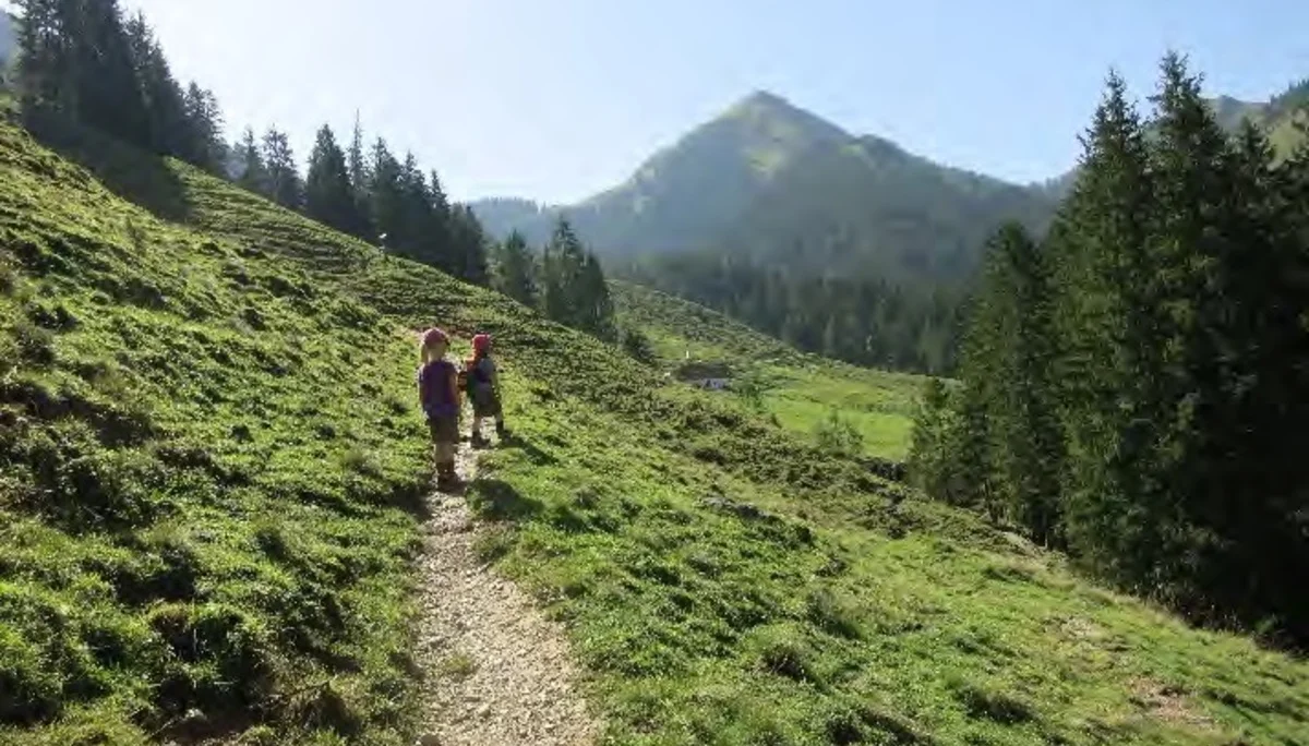 Aufstieg über die Almwiese. | © Simone Zeiler