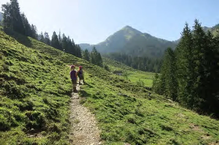 Aufstieg über die Almwiese. | © Simone Zeiler
