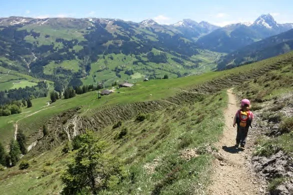 Abstieg zur Bärstattalm. | © Simone Zeiler
