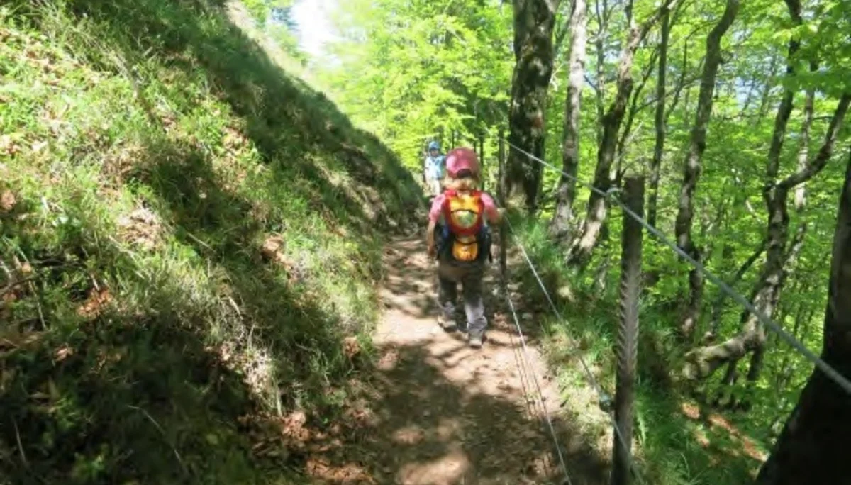 Von der Bärstattalm zum Lift. | © Simone Zeiler