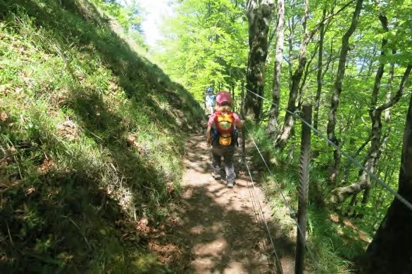 Von der Bärstattalm zum Lift. | © Simone Zeiler