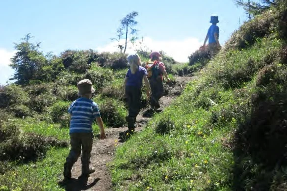 Unterwegs zum Gaisberg-Gipfel. | © Simone Zeiler