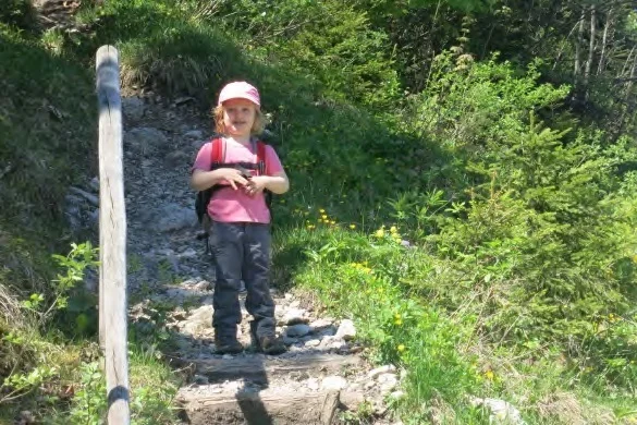 Stufen auf dem Weg zum Gaisberg. | © Simone Zeiler