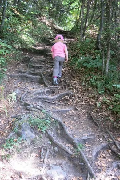 Spannende, wurzelige Wege. | © Simone Zeiler