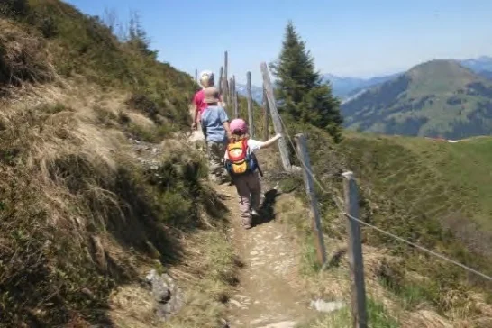 Schöne Bergwege, spannend für Kinder. | © Simone Zeiler