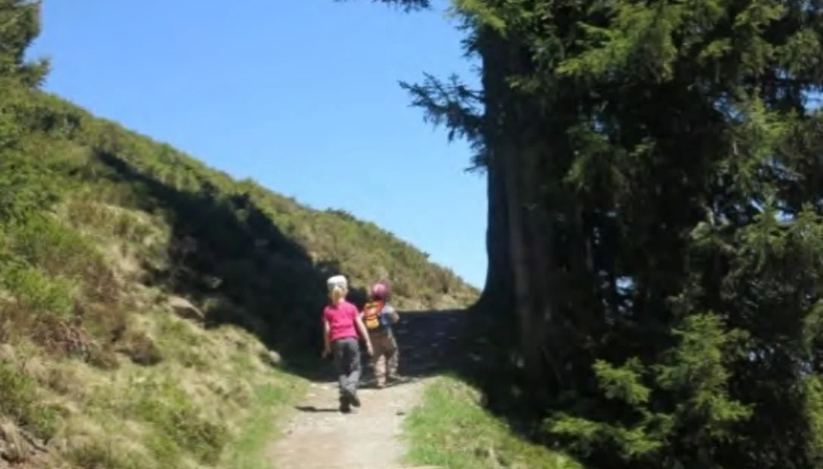 Auf dem Himmelsteig-Weg. | © Simone Zeiller