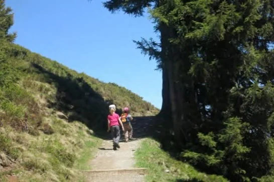 Auf dem Himmelsteig-Weg. | © Simone Zeiller
