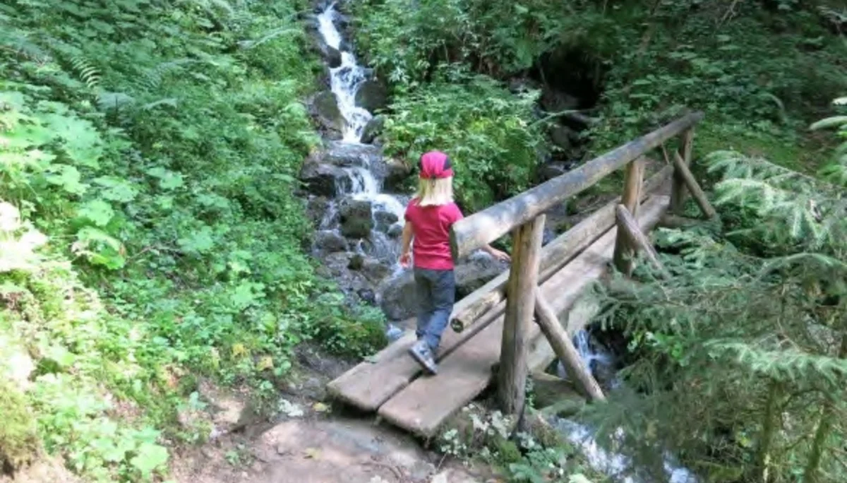 Übers Brückerl auf schmalen Waldpfaden. | © Simone Zeiler