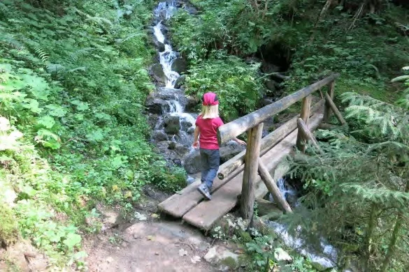 Übers Brückerl auf schmalen Waldpfaden. | © Simone Zeiler