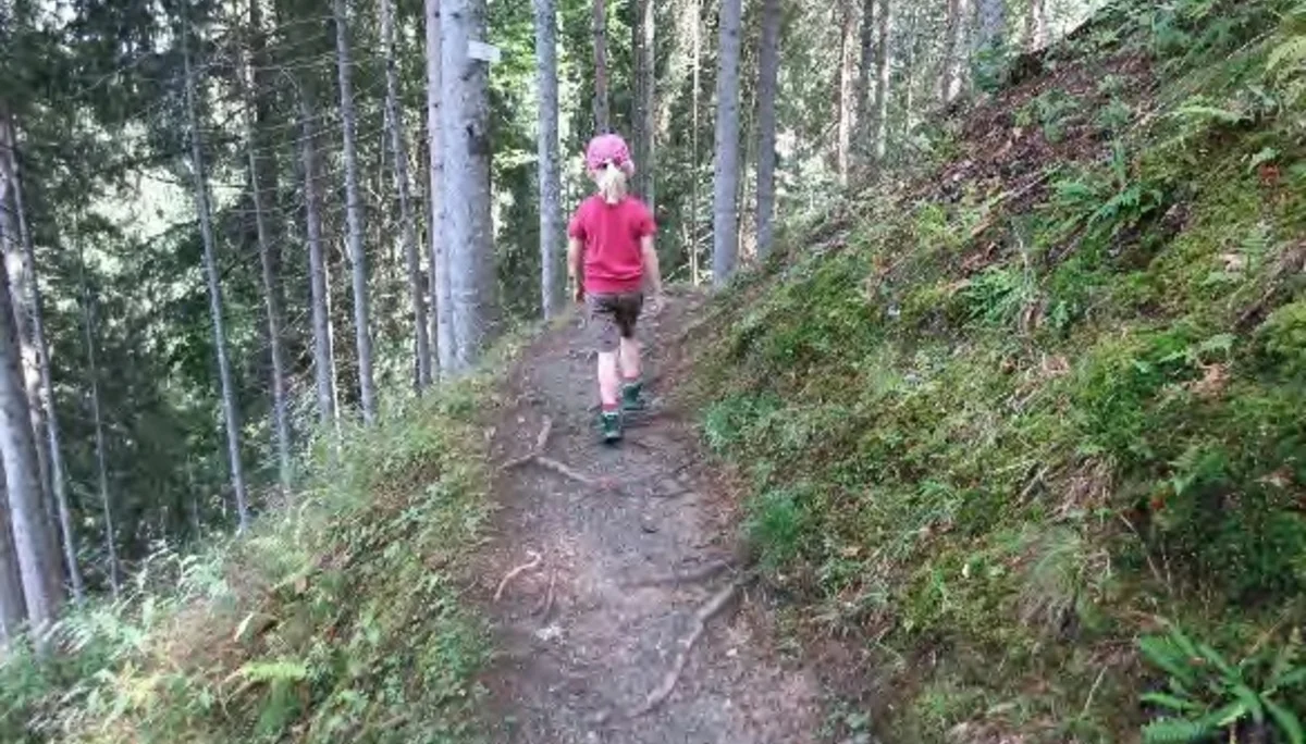 Auf Waldwegen bergab. | © Simone Zeiler