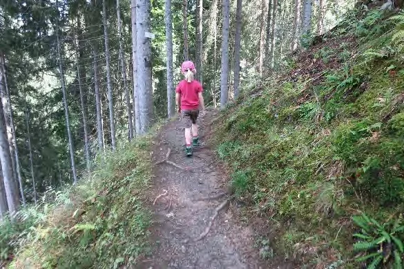Auf Waldwegen bergab. | © Simone Zeiler