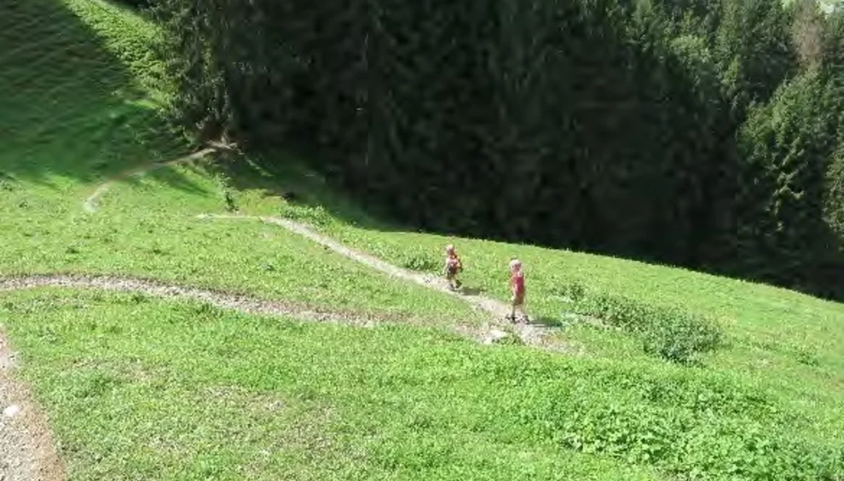 Wiesen-Serpentinen auf dem Holzwurmweg. | © Simone Zeiler