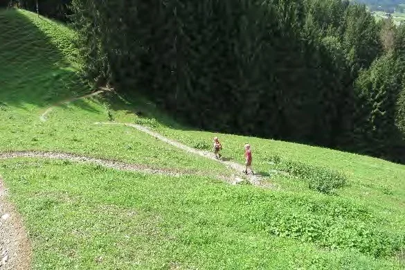 Wiesen-Serpentinen auf dem Holzwurmweg. | © Simone Zeiler