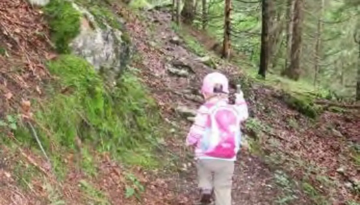 Aufstieg im Wald. | © Simone Zeiler