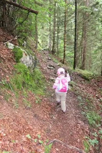 Aufstieg im Wald. | © Simone Zeiler