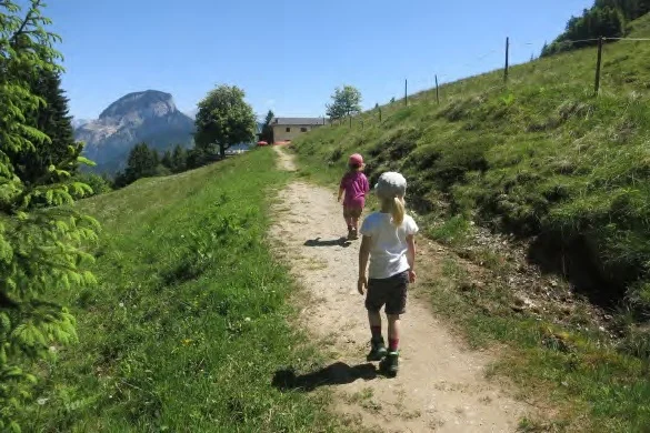 Möslalm in Sicht. | © Simone Zeiler