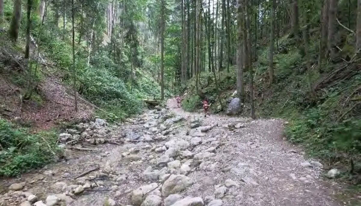 Rehbach | © Simone Zeiler