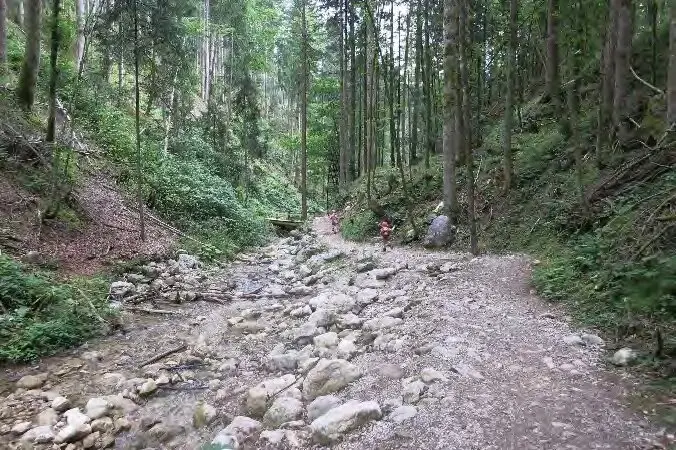 Rehbach | © Simone Zeiler