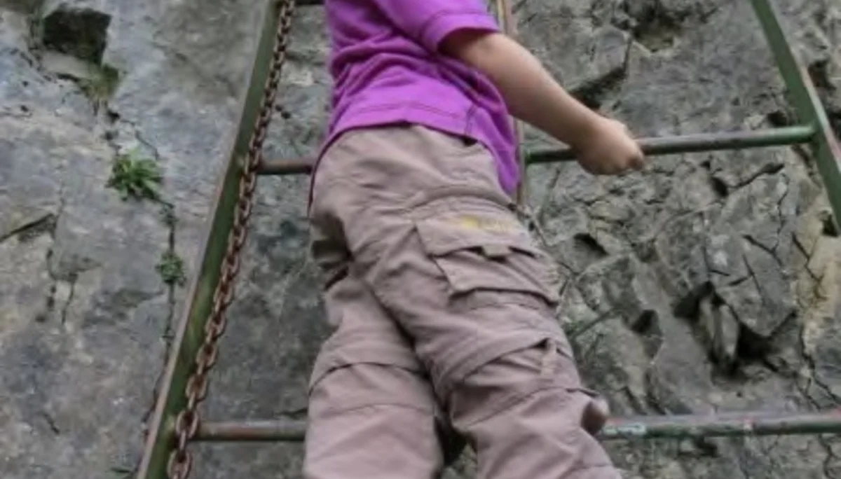 Eisenleiter auf dem Weg zur Hütte. | © Simone Zeiler