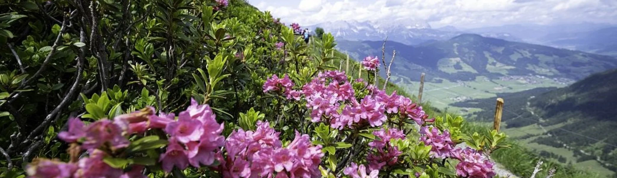 © Bildarchiv SkiWelt