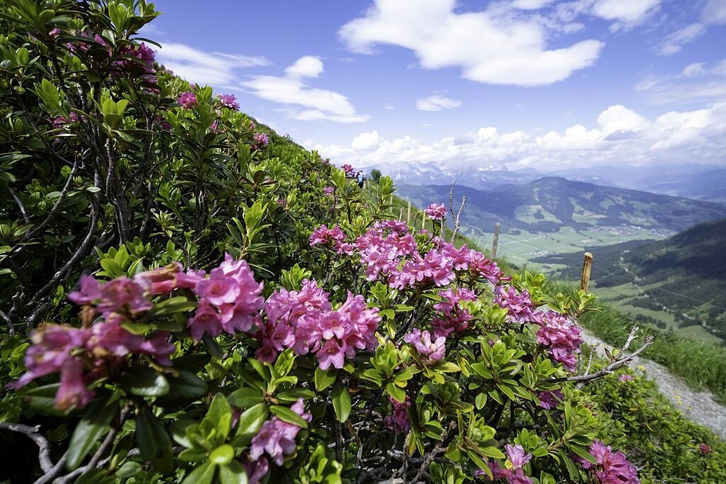 © Bildarchiv SkiWelt © Bildarchiv SkiWelt
