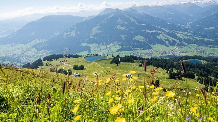 © Norbert Eisele-Hein