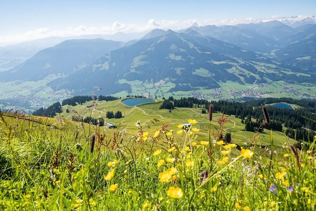 © Norbert Eisele-Hein