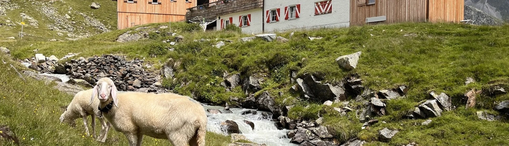 Neue Regensburger Hütte | © Simon Bänsch
