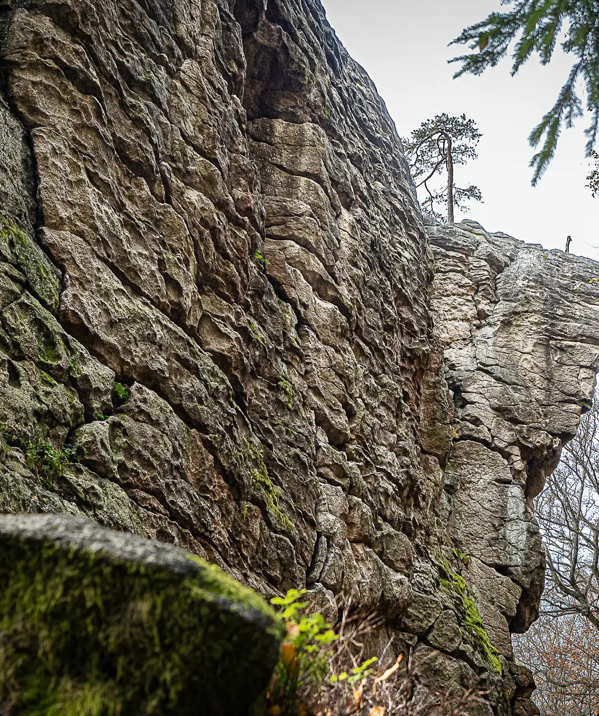 Felsen nahe der Hütte | © Ingrid Scheufler