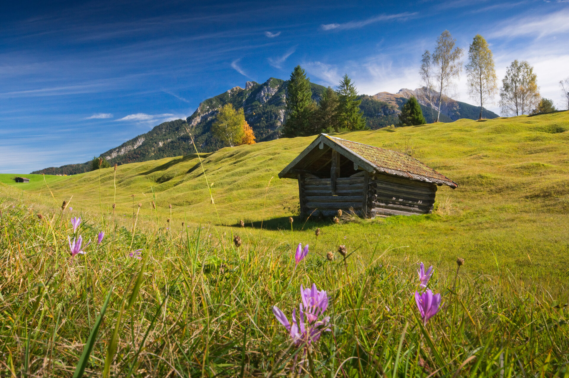 © Günter Hans