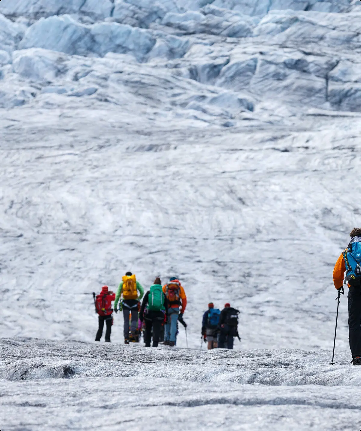 Eine Hochtourengruppe wandert über das Eisfeld über den Gepatschferner zur Rauhekopfhütte. | © DAV/Marco Kost