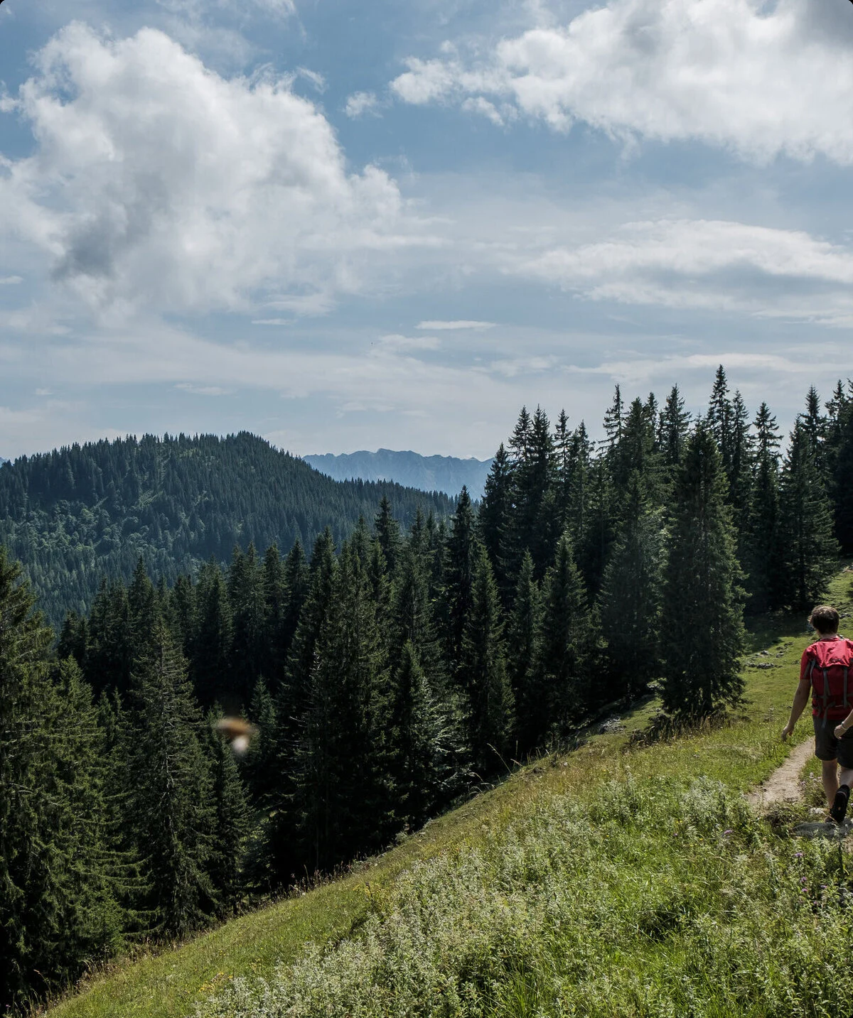 Zwei Wanderer auf einem Bergpfad in den Chiemgauer Alpen | © DAV/Hans Herbig