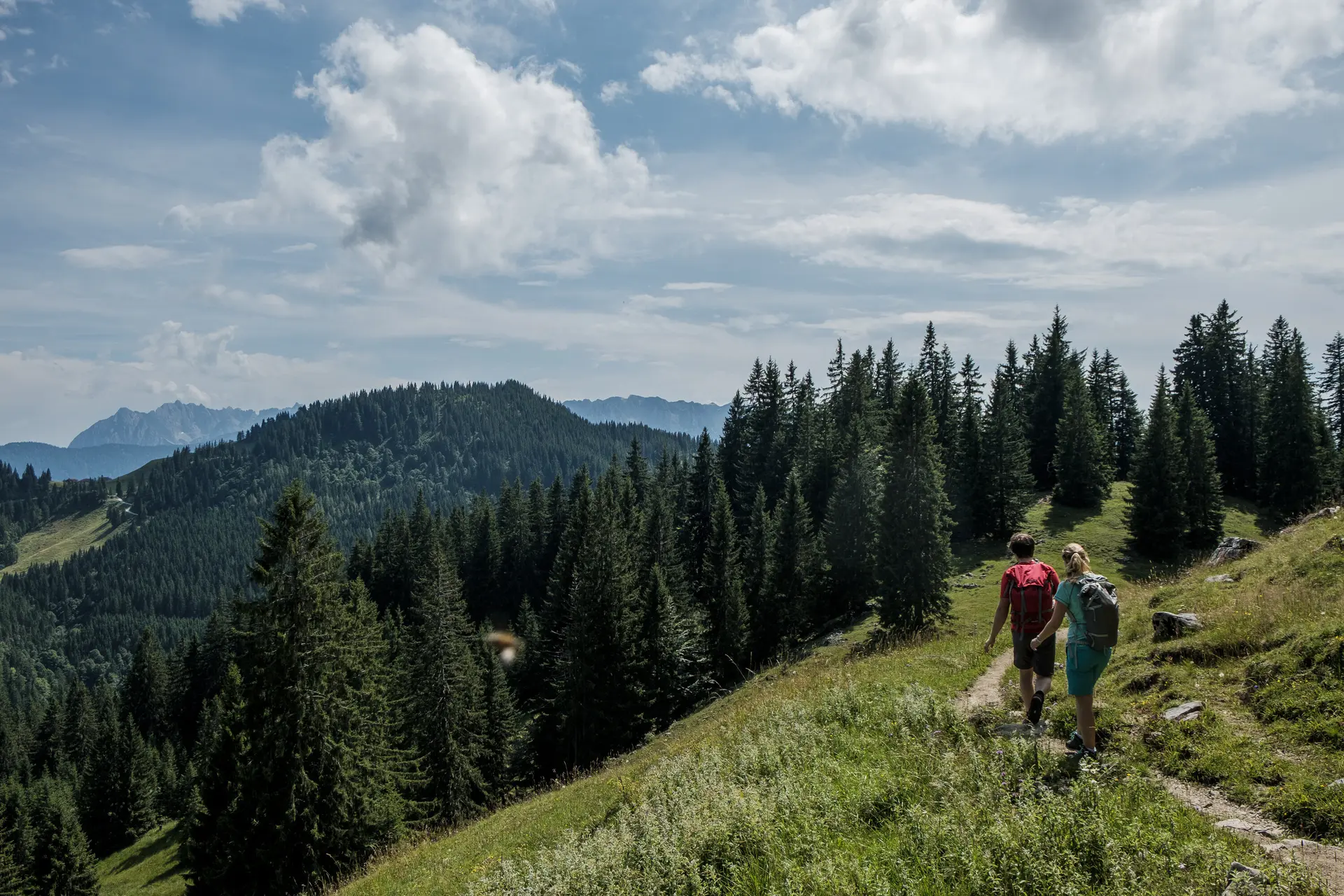 Zwei Wanderer auf einem Bergpfad in den Chiemgauer Alpen | © DAV/Hans Herbig