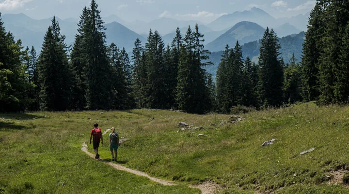 Zwei Wanderer auf einem Bergpfad in den Chiemgauer Alpen | © DAV/Hans Herbig